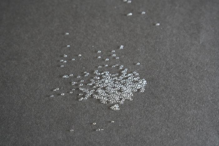 DSC00733(001) DSC00733(001)